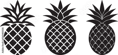 pineapple vector illustration