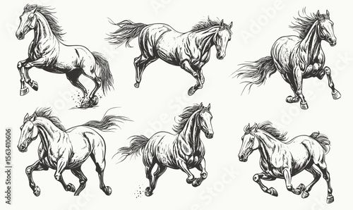 Set of six detailed hand drawn wild horses running and galloping in dynamic poses with flowing manes and tails, realistic monochrome equine vector illustration for animal and nature themes