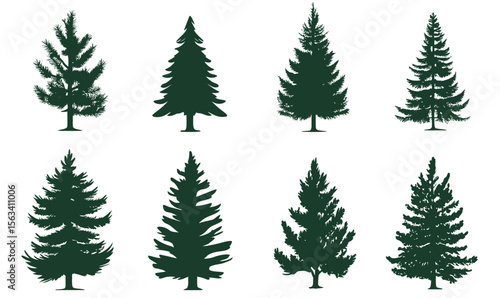 Set of eight dark green pine tree silhouettes isolated on white background with varied needle and branch shapes minimalist flat style conifer illustrations for nature and forest design elements