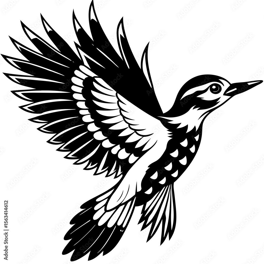 Obraz premium eagle vector illustration