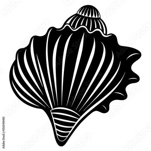 seashell vector illustration