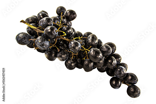 Black wet grapes bunch 