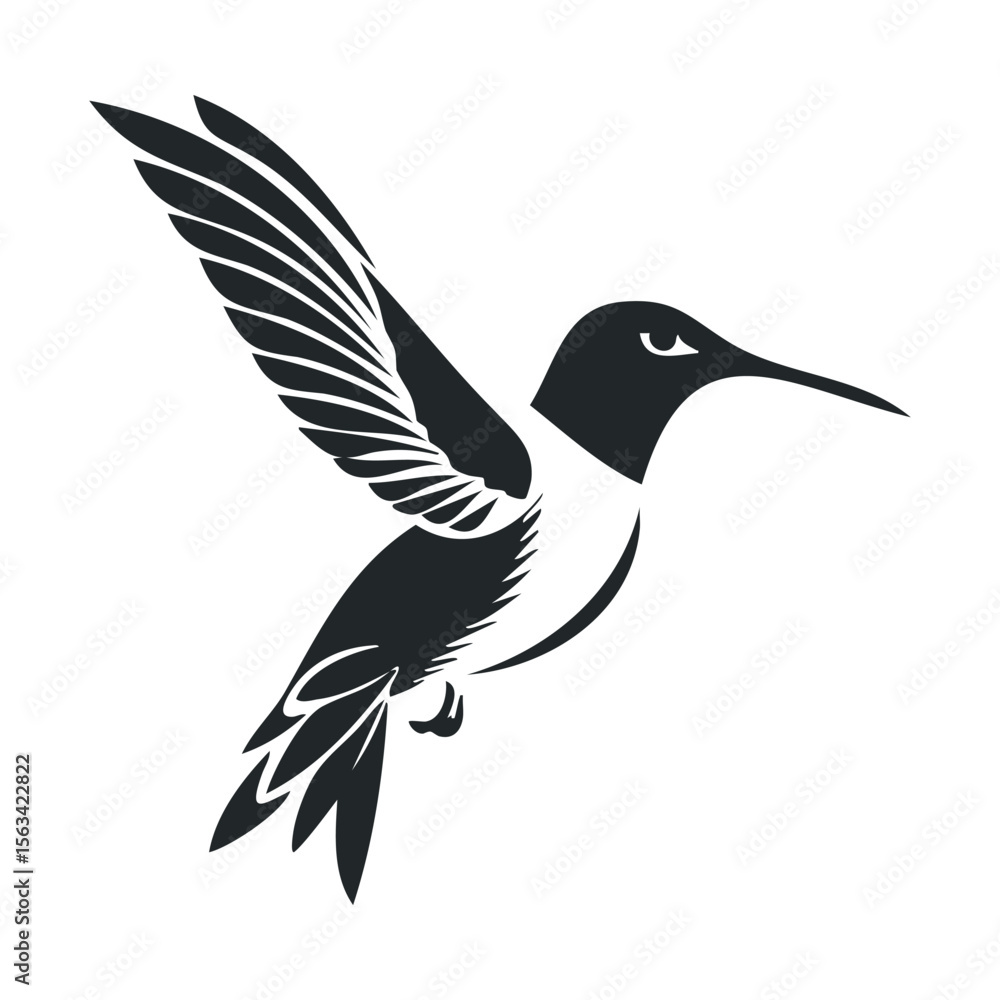 Fototapeta premium Monochrome hummingbird illustration in flight with detailed wings