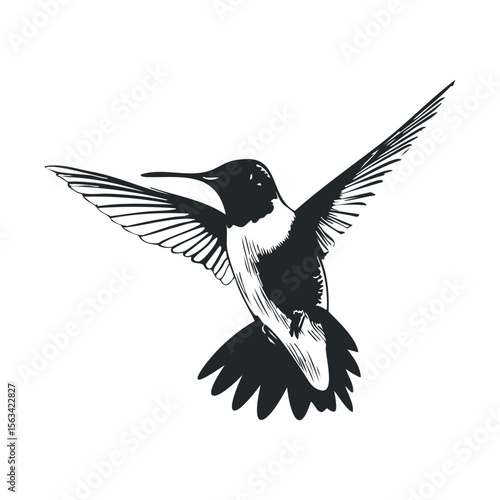 Monochrome hummingbird illustration in flight