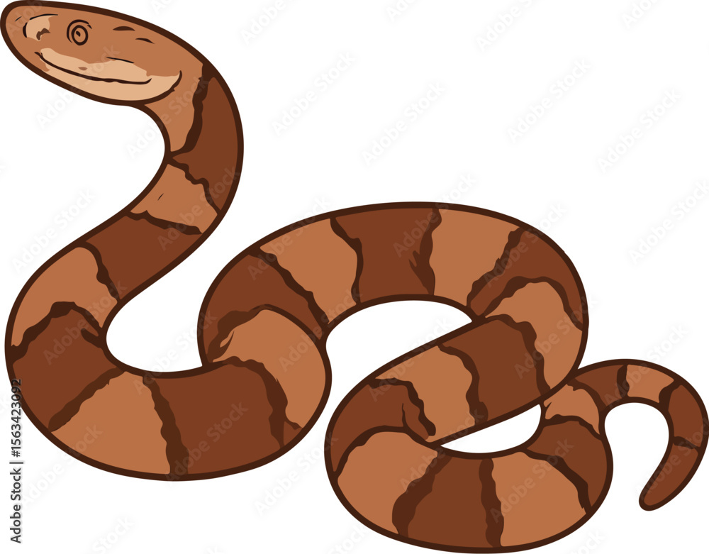 Fototapeta premium vector illustration of a snake, Agkistrodon Contortrix