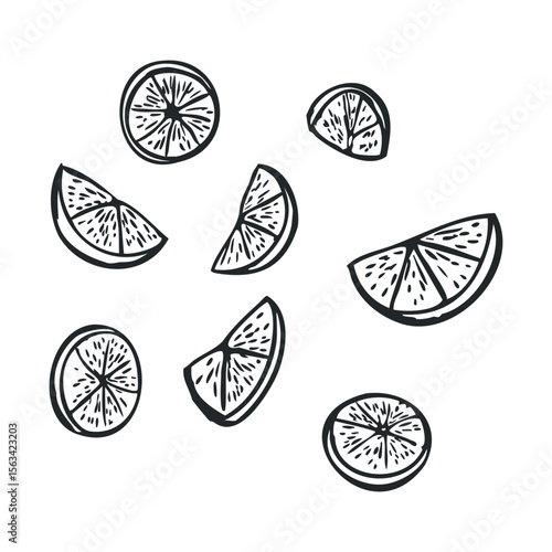 Hand-drawn lemon slices on white background