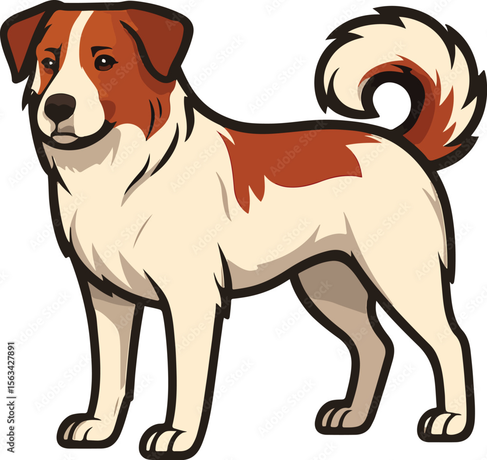 Fototapeta premium vector illustration of a dog, Aidi Dog