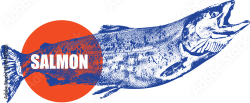 Salmon fish, seafood illustration, vintage fish drawing, engraving style, food packaging, restaurant branding, fish market, sushi menu, organic seafood, retro seafood art logo