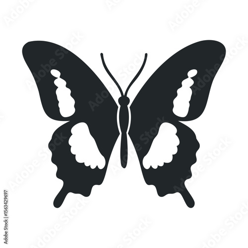 Silhouette of butterfly with open wings on white background
