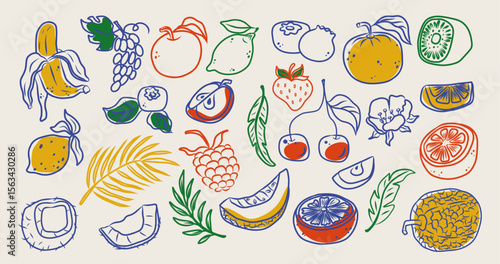 Collection of colorful hand-drawn tropical fruit doodles: banana, lemon, kiwi, orange, cherry, melon, raspberry, coconut, citrus slices, palm leaves. Fun summer vector icons for print or design.