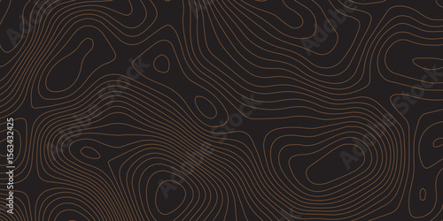 Geometric abstract topography line pattern on black for tech and mapping themes.