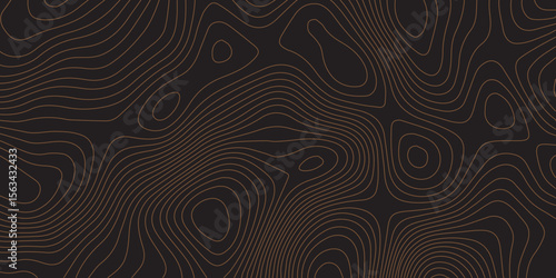 Sophisticated topographic line art on black background for abstract design use.