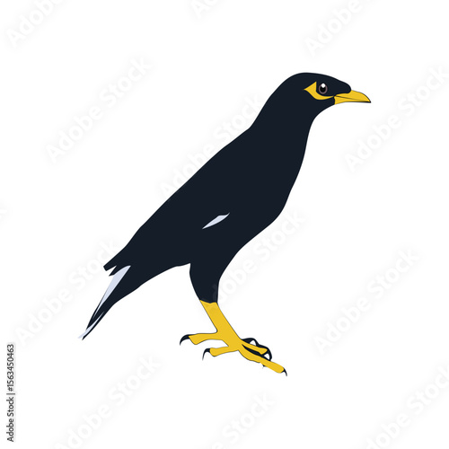 Bully bird illustration vector based on white background vol 01