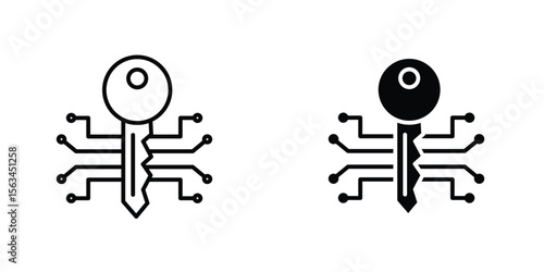 Digital key icon symbol logo graphic design element. EPS10