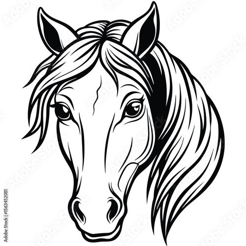 Detailed black and white horse head illustration