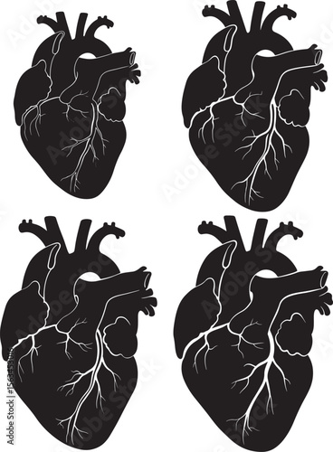 Human Heart Organ Silhouette Vector Set vector illustration