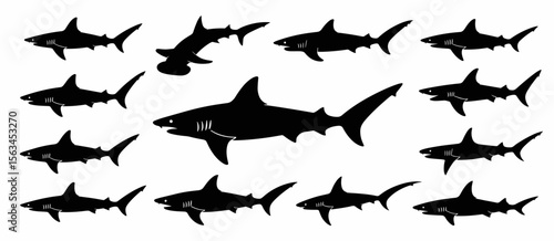 Shark silhouettes, sea animal, marine predator, underwater life, ocean, wildlife, danger