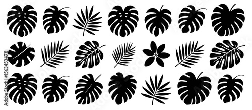 Black tropical leaf silhouettes set, vector botanical plant shapes background