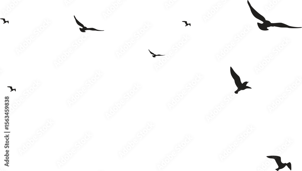 Fototapeta premium Flying birds silhouettes on white background. Vector illustration. isolated bird flying. tattoo design.