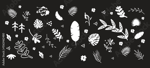 Leaf silhouettes, vector collection, diverse leaves shapes, nature elements. Ideal for eco friendly brand aesthetics, botanical illustrations, educational materials, artistic designs, decorations.