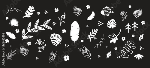 Leaf silhouettes, vector collection, diverse leaves shapes, nature elements. Ideal for eco friendly brand aesthetics, botanical illustrations, educational materials, artistic designs, decorations.
