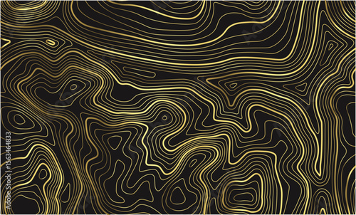 Gold line pattern abstract texture. Luxury background inspired by mountain and wave forms. Contour shape and map design in vector topography art for modern layout.