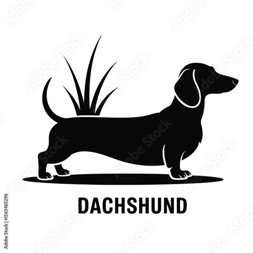 Minimalist black and white silhouette of a dachshund dog in profile with stylized grass and clean background
