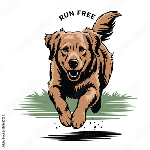Vector illustration of a golden retriever sprinting with joyful expression and wagging tail against white background
