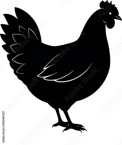 A Silhouetted Chicken Standing Proudly on its Feet in a Field of Grass