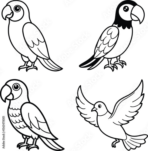 set of birds on white background