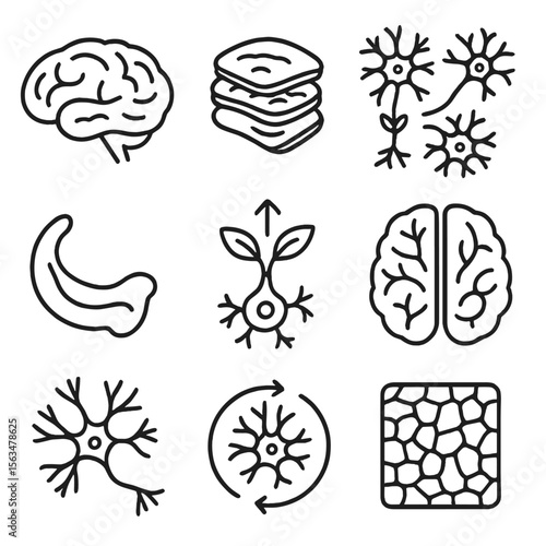 Brain Structure Icons. Outline style icons of Brain Structure and Growth: human brain outline, layered cortex view, neuron cluster