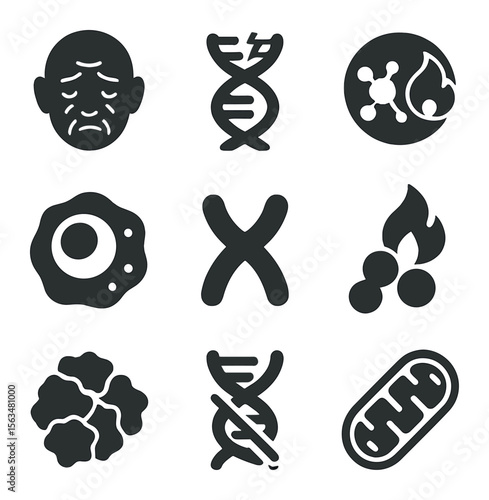 Aging Biomarkers Icons. Solid, filled icons set of aging biomarkers: wrinkles, DNA damage, oxidative stress,