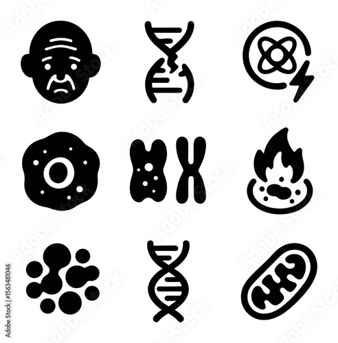 Aging Biomarkers Icons. Solid, filled icons set of aging biomarkers: wrinkles, DNA damage, oxidative stress,