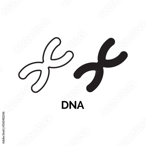 D N A Chromosome Pair Black White Outline Icon vector