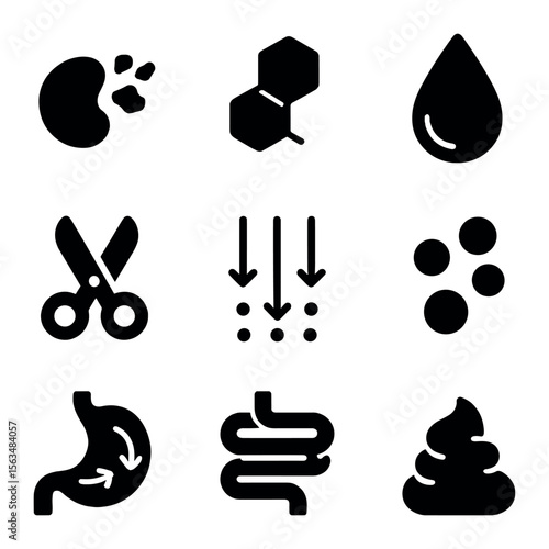 Food Digestion Icons. Solid, filled icons set of food breakdown process: broken down proteins, carbs chain,
