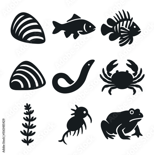 Invasive Aquatic Icons. Solid, filled icons set of invasive aquatic species: zebra mussel, Asian carp,