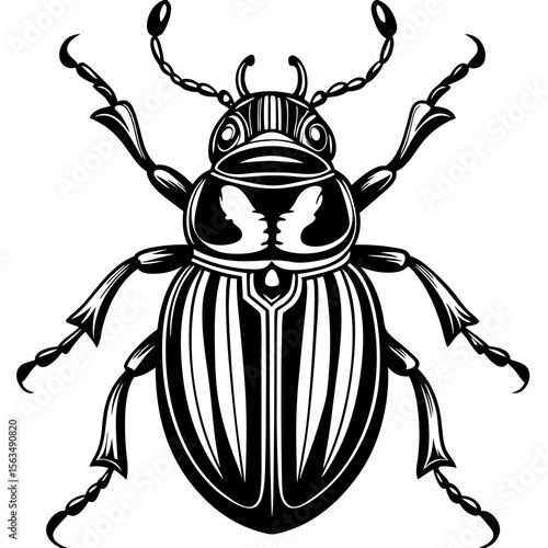 colorado potato beetle