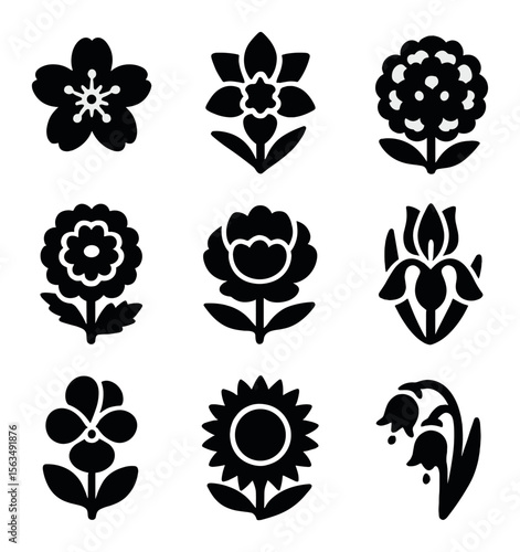 Seasonal Flower Icons. Solid, filled icons set of seasonal garden flowers: cherry blossom, daffodil, hydrangea