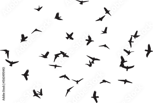 "Graceful Bird Migration Design: Abstract Black Silhouettes of Numerous Birds in Motion – Ideal for Nature, Freedom & Journey Concepts"