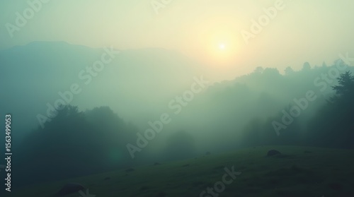Wallpaper Mural Rolling hills are layered in a soft blanket of mist during a tranquil sunrise. A peaceful and atmospheric landscape with a moody, ethereal quality. Torontodigital.ca