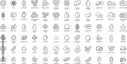 Seeds and Nuts Vector Line Icon Set. Isolated on White Background.