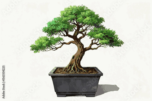 Watercolor Bonsai Bonsai tree isolated vector illustration svg