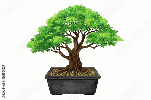 Ancient in Miniature Bonsai tree isolated watercolor vector illustration svg