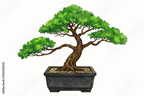 Serene Miniature Bonsai tree isolated watercolor vector illustration svg