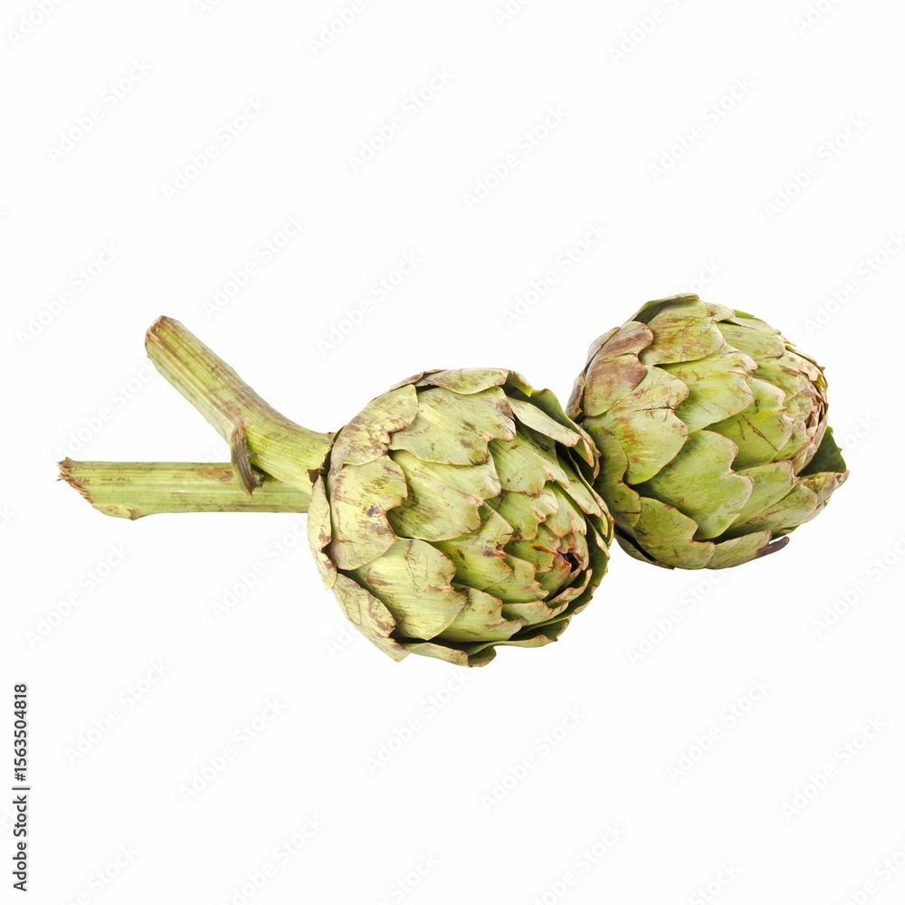 Obraz premium Two fresh artichokes on a white background showcasing their natural texture and color.