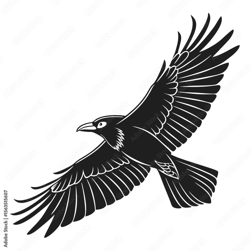 Fototapeta premium Black Crow Silhouette in Flight Wings Spread bird white