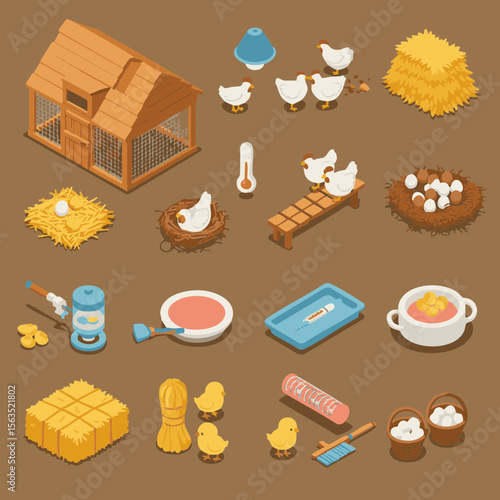 Isometric Icon Set of Backyard Chicken Tools and Coop in 3D Style