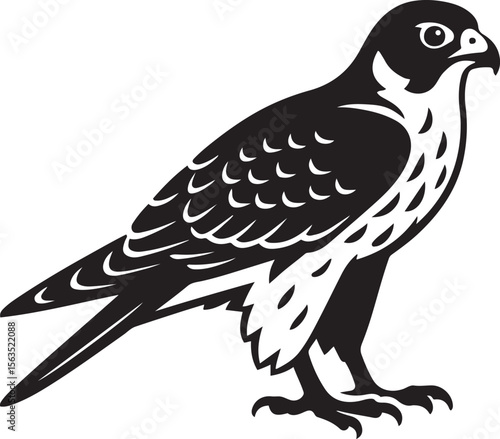 Peregrine falcon silhouette bold vector art, Soaring bird of prey in clean design