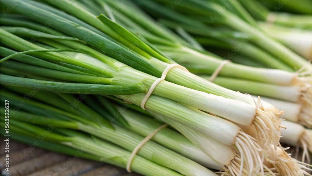spring onion, sharp and realistic, Photo, Natural light. spring onion, sharp and realistic, Photo, Natural light.