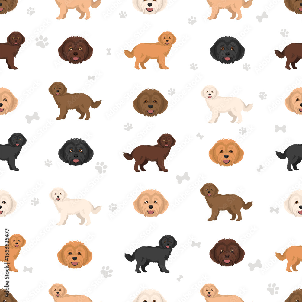 Obraz premium Westiepoo clipart. West Highland White Terrier Poodle mix. Different coat colors set. Vector illustration